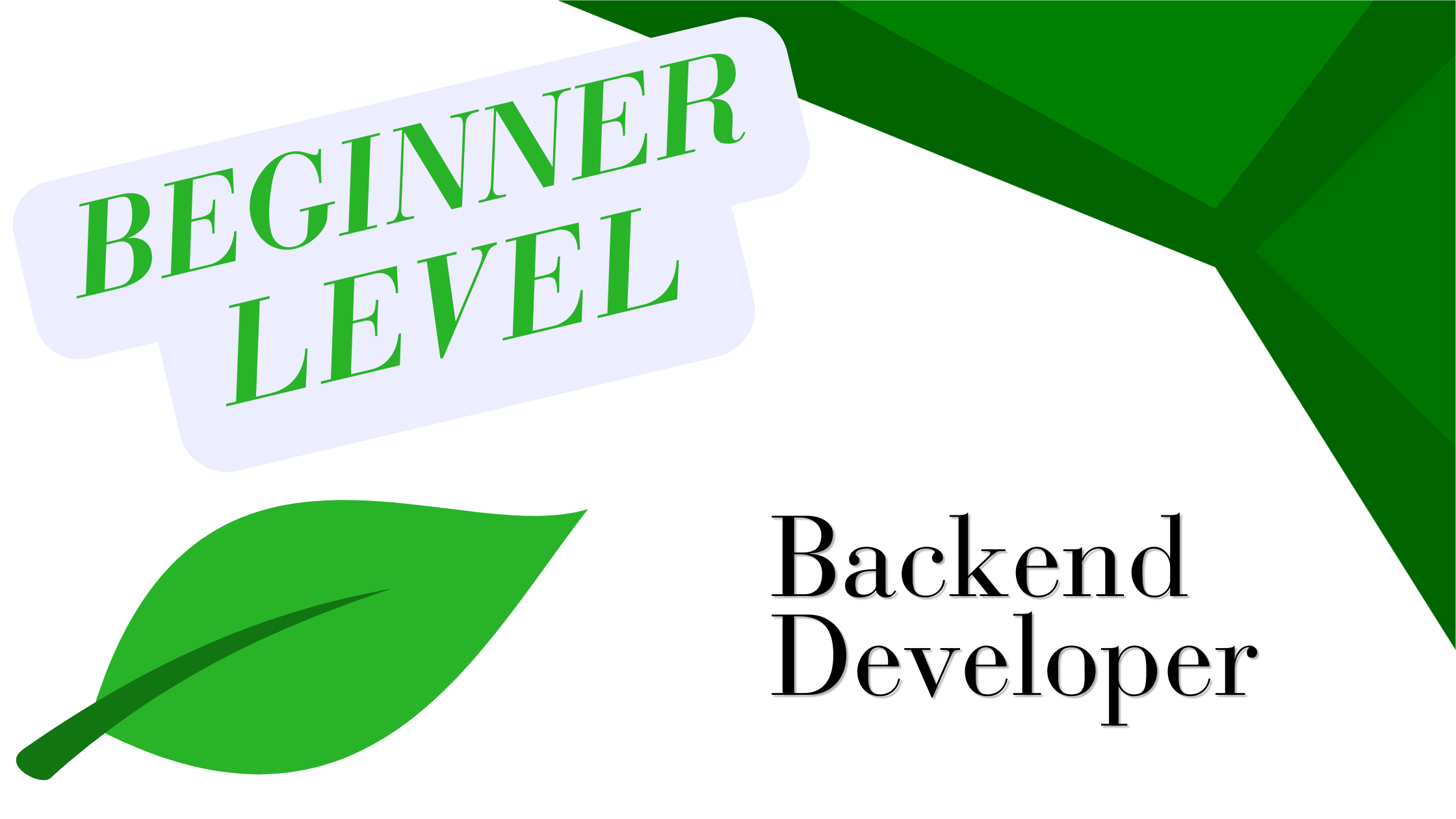 Beginner Security, performance, and error handling Test